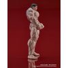 Digaction Kaoru Hanayama (Baki Hanma) Additional Thumbnail 4