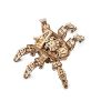 Ugears 3D Wooden Puzzle Hexapod Explorer Additional Thumbnail 7