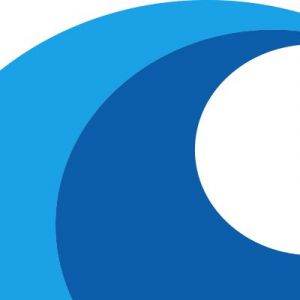 Wave logo