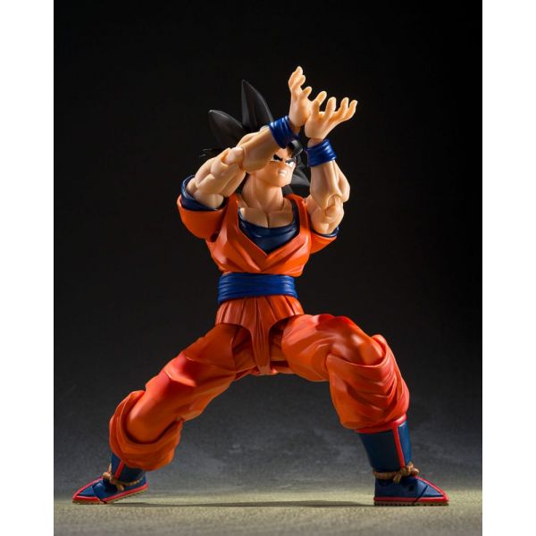 [For Parts Only] S.H. Figuarts Son Goku (The Kind-Hearted Saiyan) (Dragon Ball Z) Additional Image 6