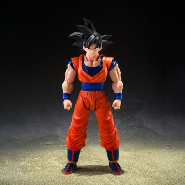 View S.H. Figuarts Dragon Ball Collection page