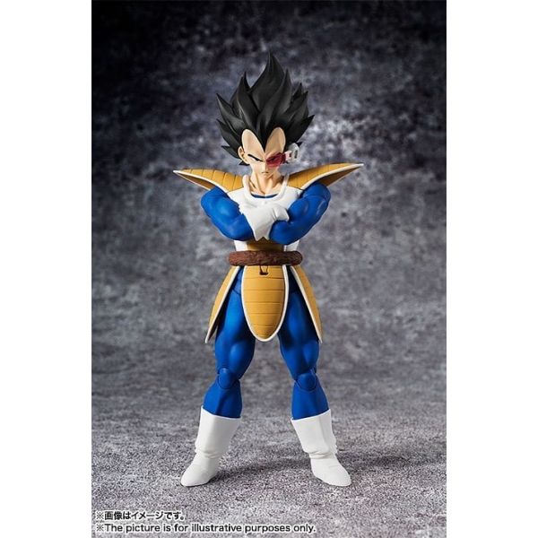 S.H.Figuarts Vegeta (Dragon Ball Z) (Reissue) Additional Image 1