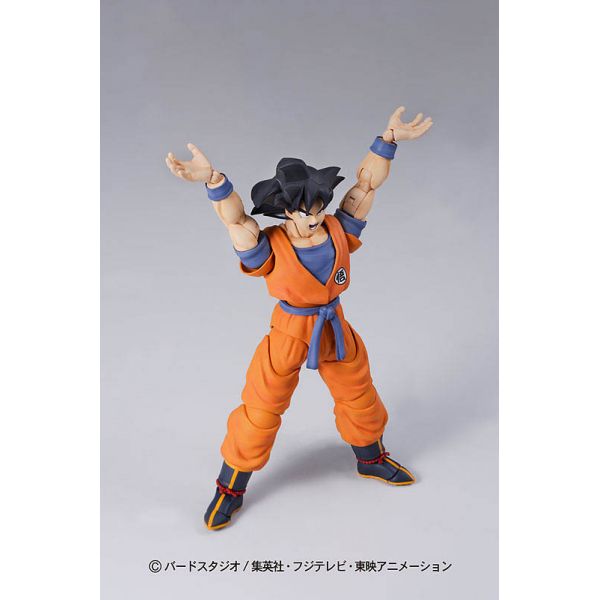 MG Figure-rise Son Goku (Master Grade 1/8 Scale) Additional Image 2