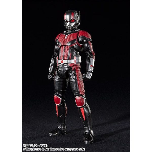S.H.Figuarts Ant-Man (From Ant-Man and the Wasp) Additional Image 1