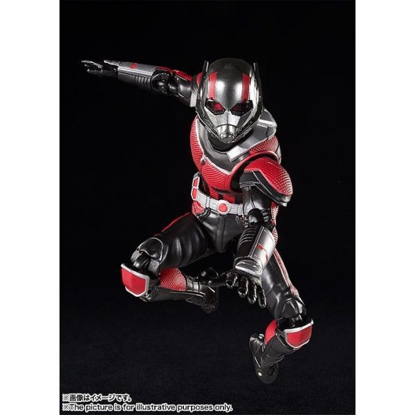 S.H.Figuarts Ant-Man (From Ant-Man and the Wasp) Additional Image 2