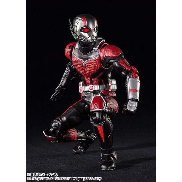 S.H.Figuarts Ant-Man (From Ant-Man and the Wasp) Additional Image 3