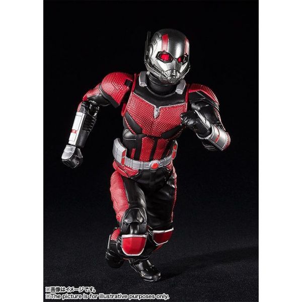S.H.Figuarts Ant-Man (From Ant-Man and the Wasp) Additional Image 4