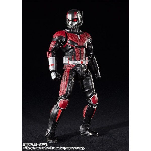 S.H.Figuarts Ant-Man (From Ant-Man and the Wasp) Main Image