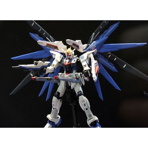 RG Freedom Gundam (Gundam SEED) Additional Image 2