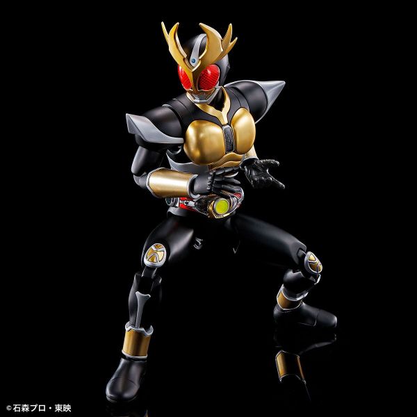 Figure-rise Standard Kamen Rider Agito Ground Form (Kamen Rider Agito) Additional Image 1