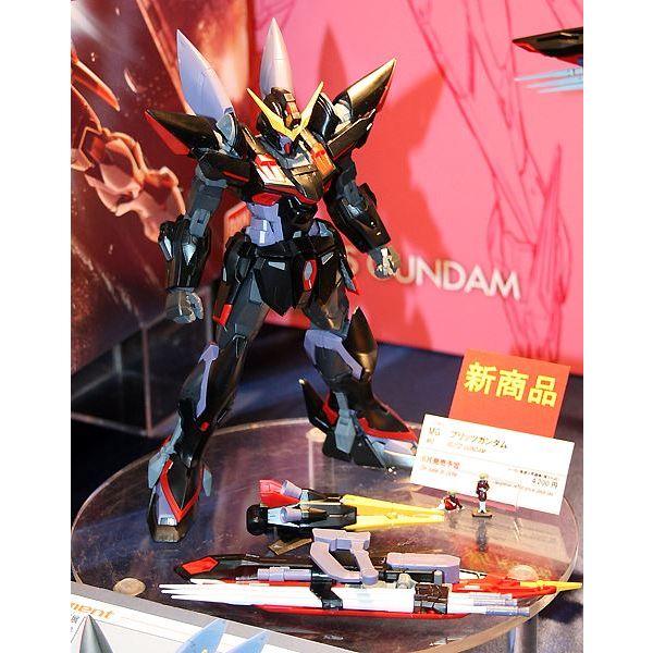 MG Blitz Gundam (Mobile Suit Gundam SEED) Additional Image 7
