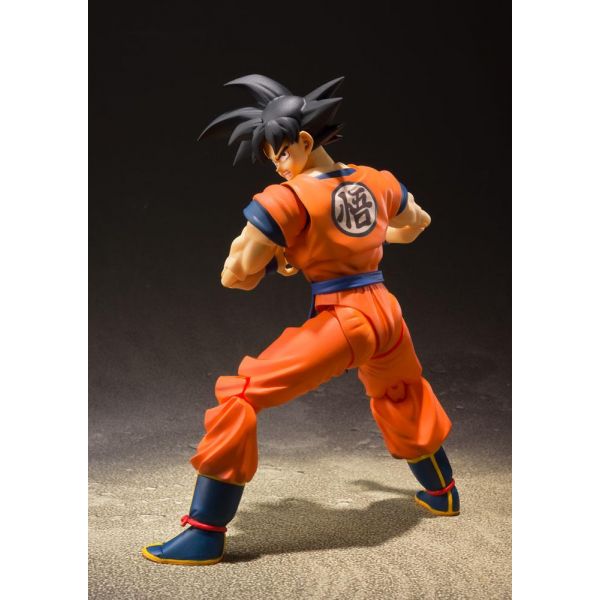 S.H. Figuarts Son Goku -A Saiyan Raised On Earth Ver.- (Dragon Ball Z) Additional Image 2