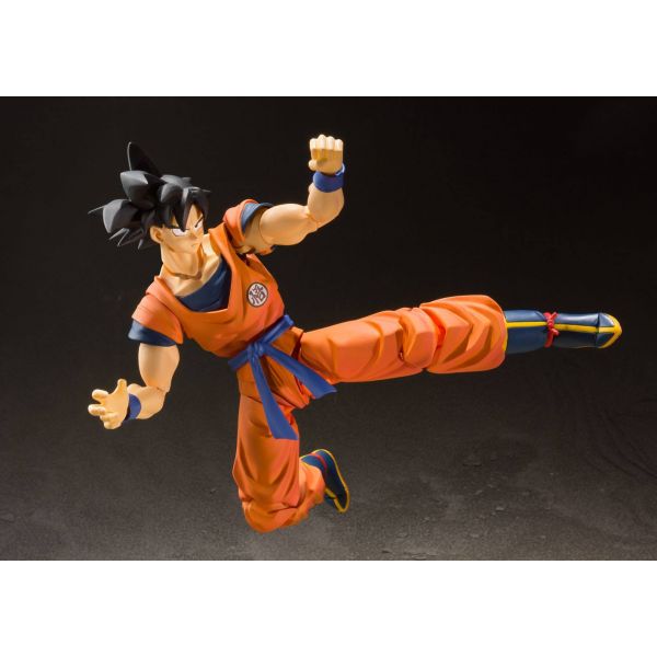 Son Goku (A Saiyan Raised On Earth) - S.H. Figuarts Action Figure (Dragon Ball Z) Image