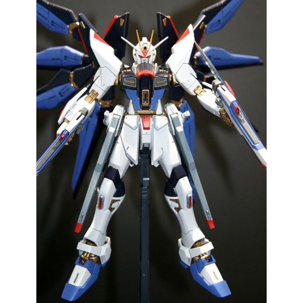 MG Strike Freedom Gundam Full Burst Mode (Mobile Suit Gundam SEED Destiny) Additional Image 7