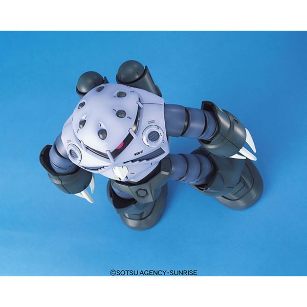 MG Z'Gok Production Type (Mobile Suit Gundam) Image