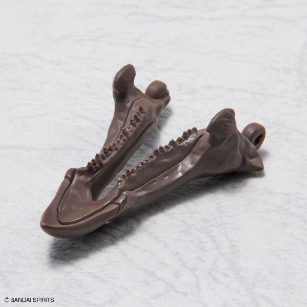 Imaginary Skeleton Triceratops Additional Image 6