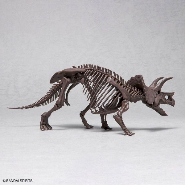 Imaginary Skeleton Triceratops Additional Image 1