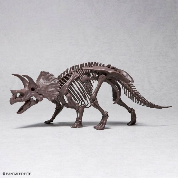 Imaginary Skeleton Triceratops Additional Image 2