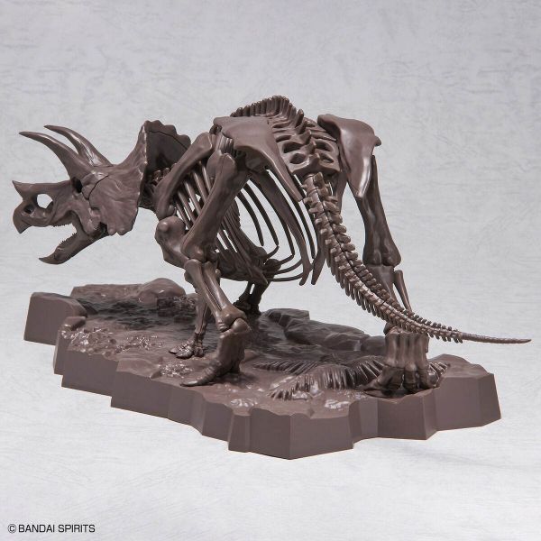 Imaginary Skeleton Triceratops Additional Image 3