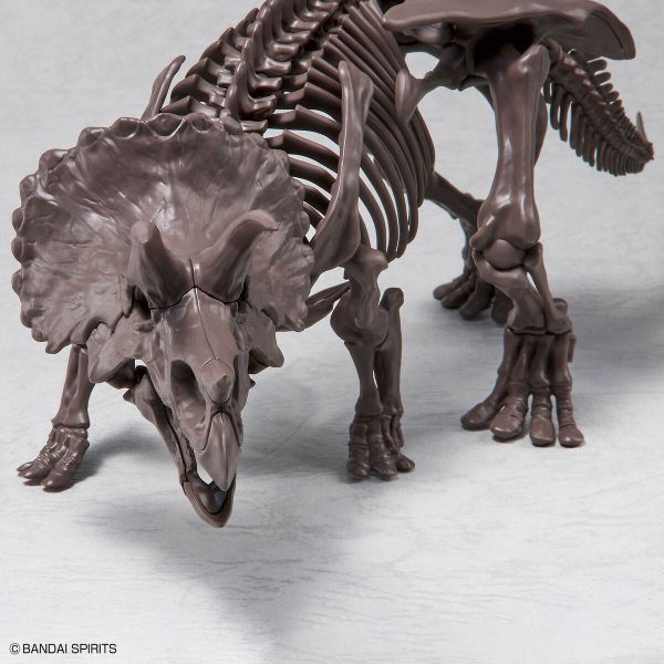 Imaginary Skeleton Triceratops Additional Image 5