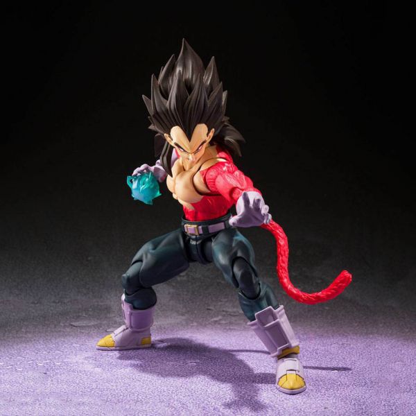 S.H. Figuarts Action Figures top product image