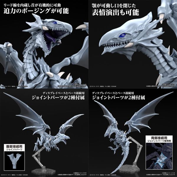 Figure-rise Standard Amplified Blue-Eyes White Dragon (Yu-Gi-Oh!) Additional Image 7