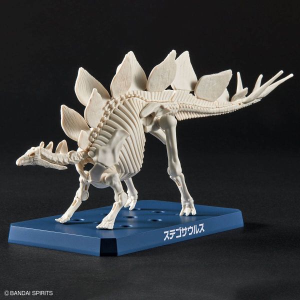 Plannosaurus Stegosaurus Image