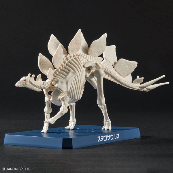 Plannosaurus Stegosaurus Image