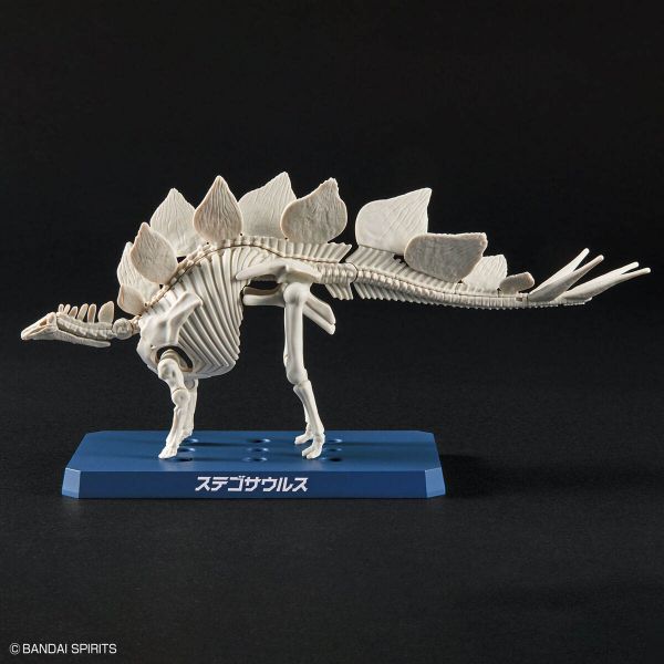 Plannosaurus Stegosaurus Image