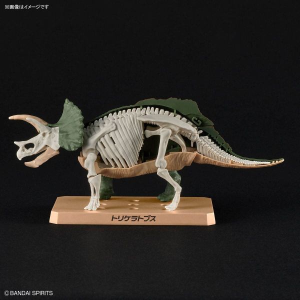 Plannosaurus Triceratops Additional Image 3