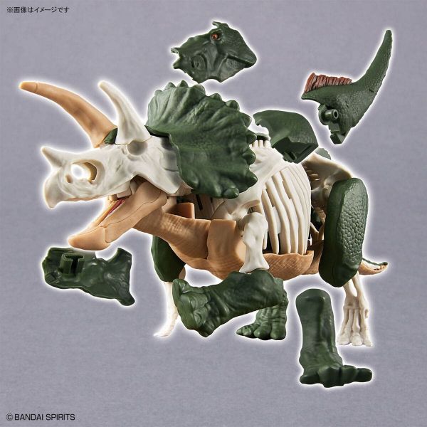 Plannosaurus Triceratops Additional Image 5