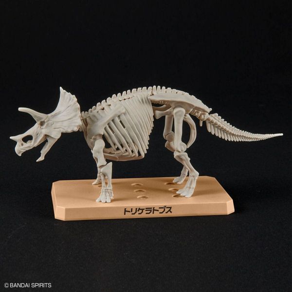 Plannosaurus Triceratops Additional Image 4