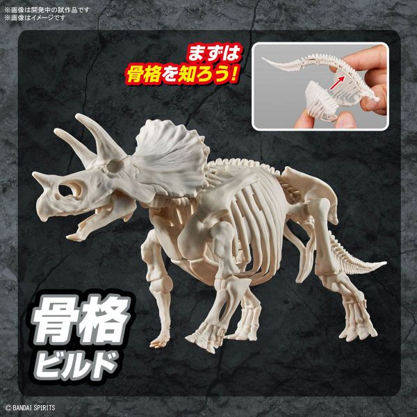 Plannosaurus Triceratops Additional Image 7