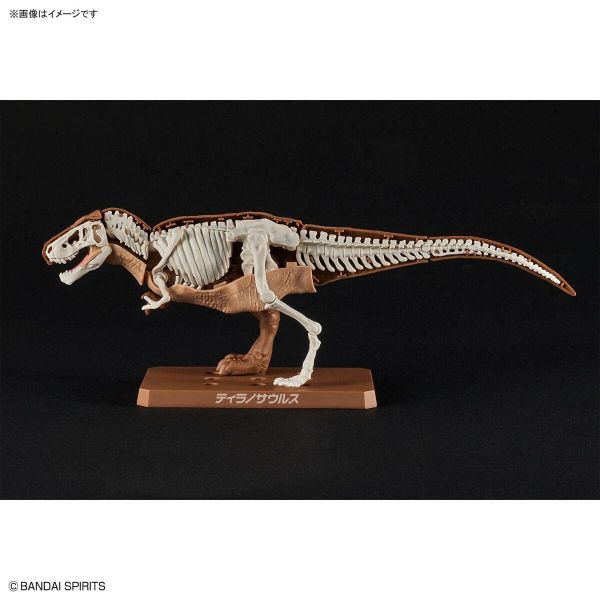 Plannosaurus Tyrannosaurus Additional Image 3