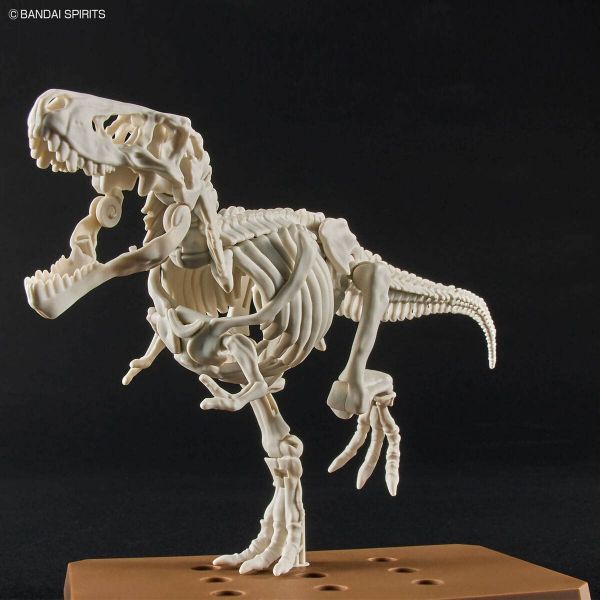 Plannosaurus Tyrannosaurus Additional Image 4