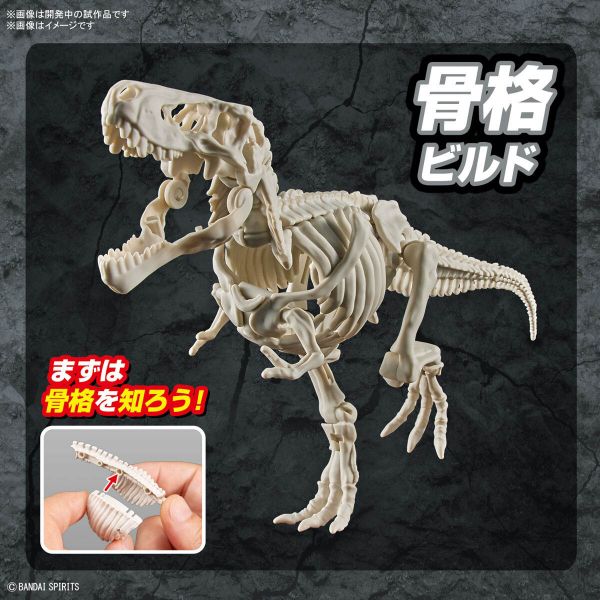 Plannosaurus Tyrannosaurus Additional Image 7