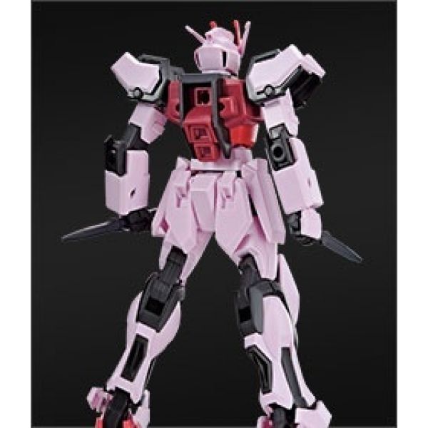 EG Strike Rouge Gundam - Round Box Armor Schneider Ver. (Mobile Suit Gundam SEED) Additional Image 2