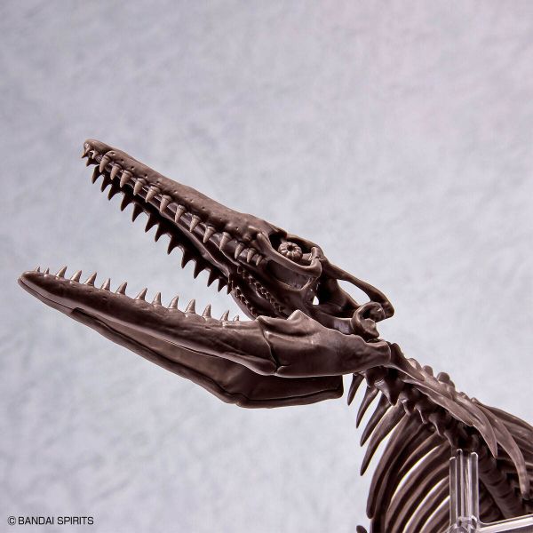Imaginary Skeleton Mosasaurus Additional Image 6