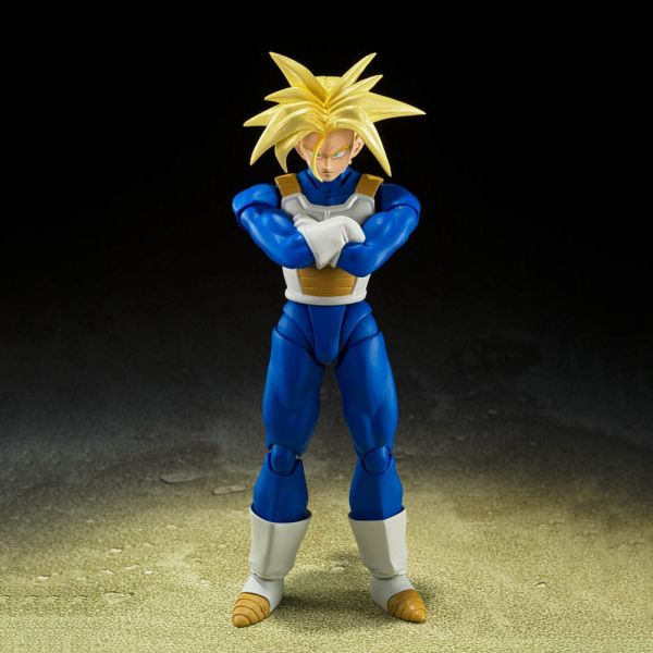 S.H. Figuarts Action Figures top product image