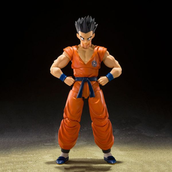 S.H. Figuarts Action Figures top product image