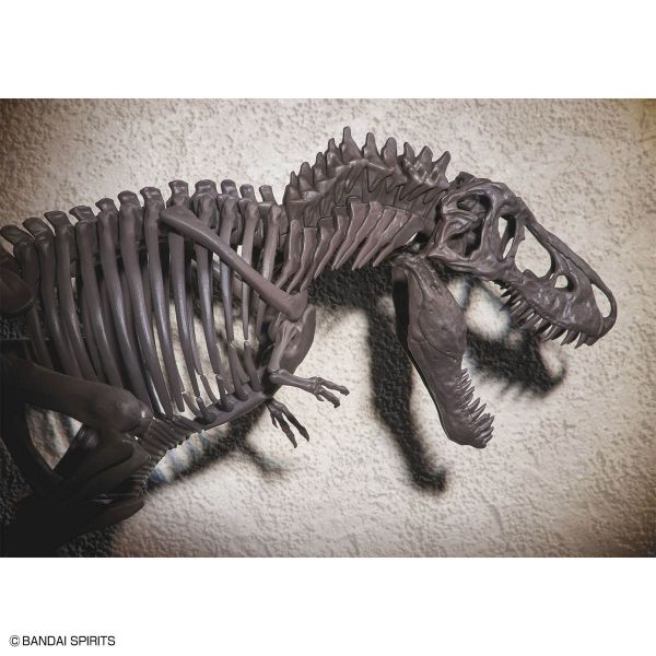 Imaginary Skeleton Tyrannosaurus Image