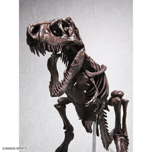 Imaginary Skeleton Tyrannosaurus Image