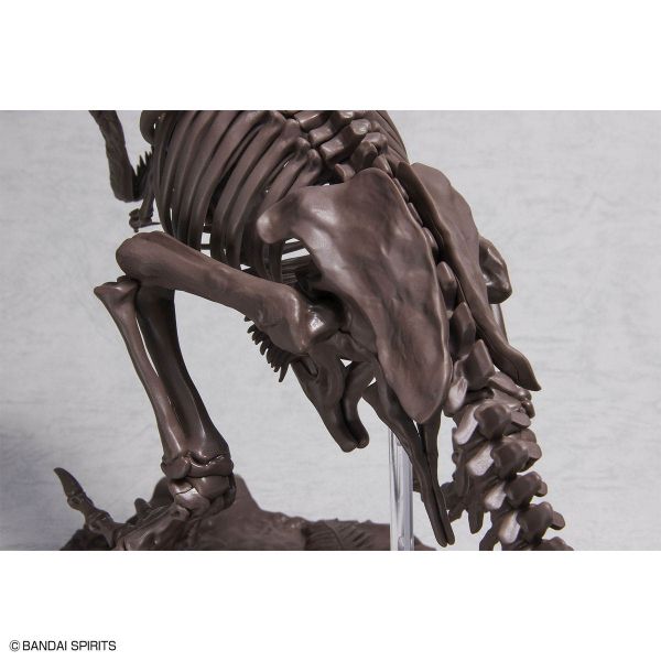 Imaginary Skeleton Tyrannosaurus Image