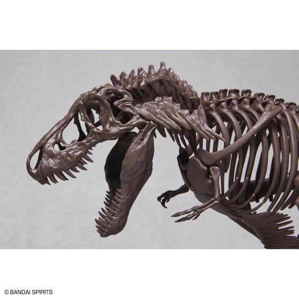 Imaginary Skeleton Tyrannosaurus Image