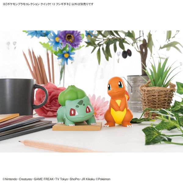 Pokemon Plamo Collection Quick!! 13 Bulbasaur Image