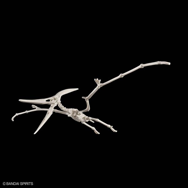 Plannosaurus Pteranodon Additional Image 6