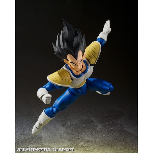 S.H. Figuarts Vegeta 24000 Power Level Ver. (Dragon Ball Z) Additional Image 4