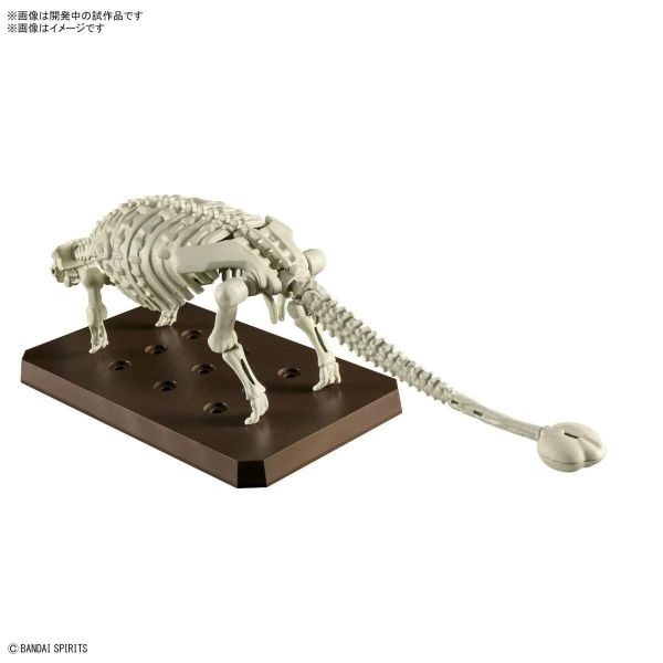 Plannosaurus Ankylosaurus Additional Image 7