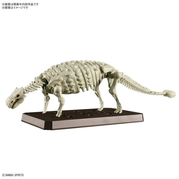 Plannosaurus Ankylosaurus Image