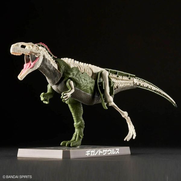 Plannosaurus Gigantosaurus Additional Image 3